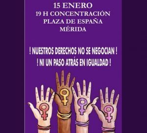 Concentracion Merida EDIIMA20190109 0327 5
