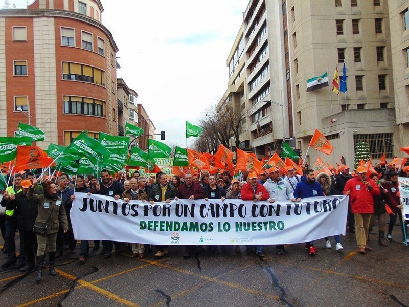 manifestacion