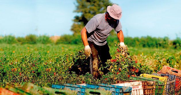agriculturasostenible