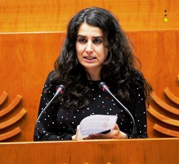 irene de miguel podemos