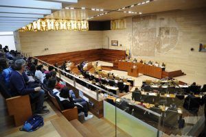 pleno asamblea marzo 2019