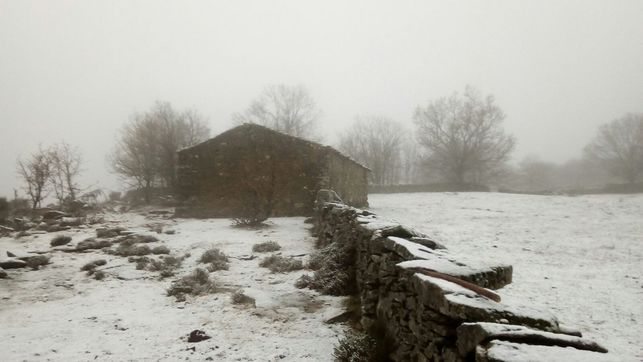nevadas