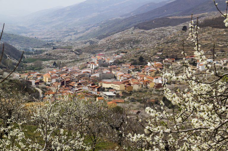 valle del jerte 2