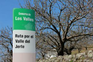 vallejerte1