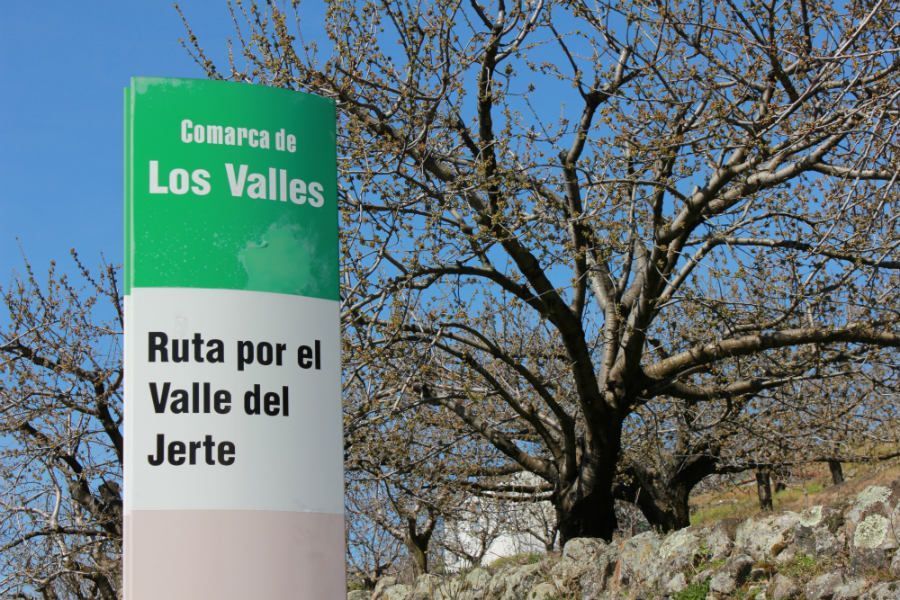 vallejerte1