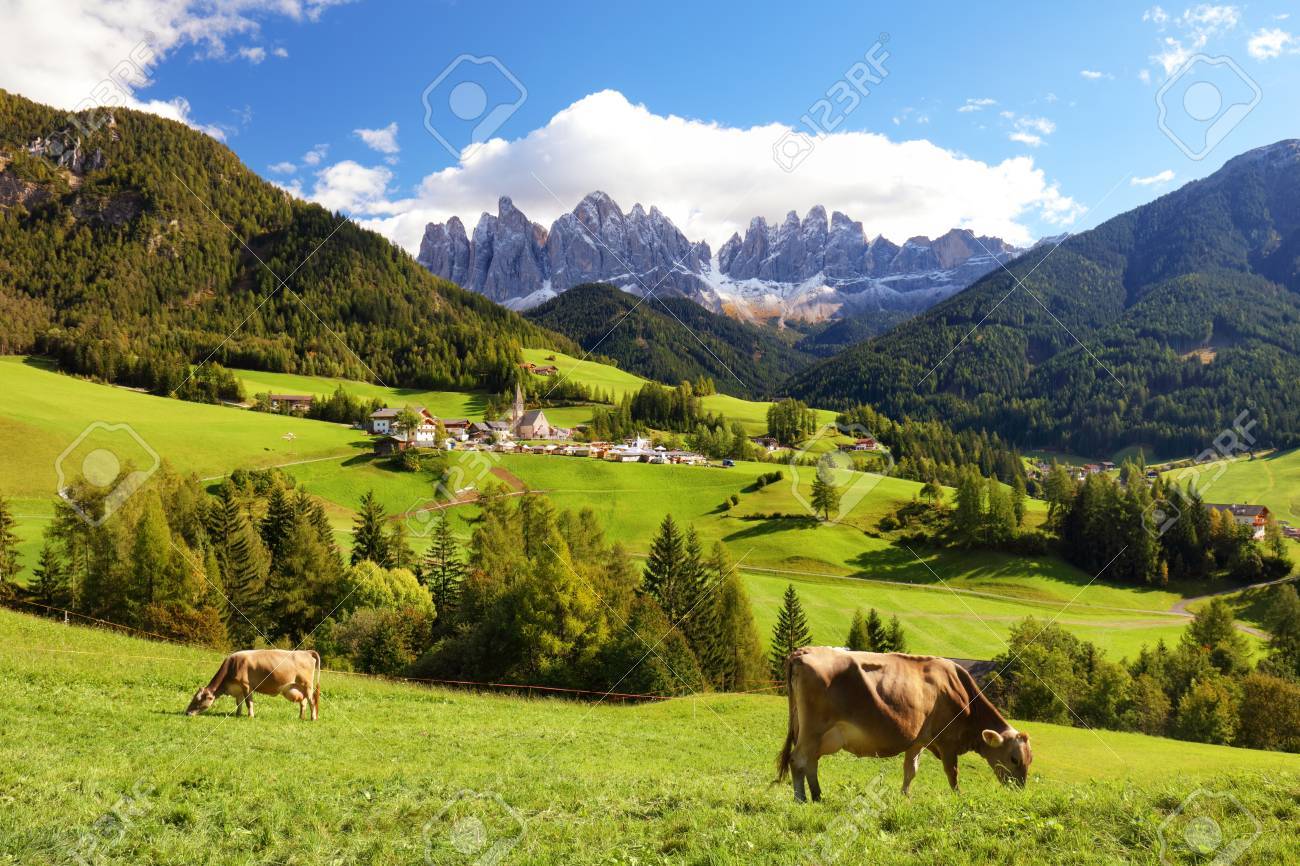 campo europa