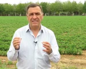 nono campo