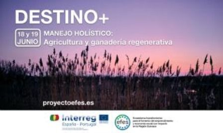 destino