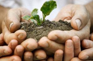 economia verde y circular