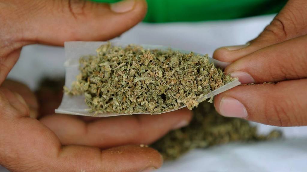 marihuana