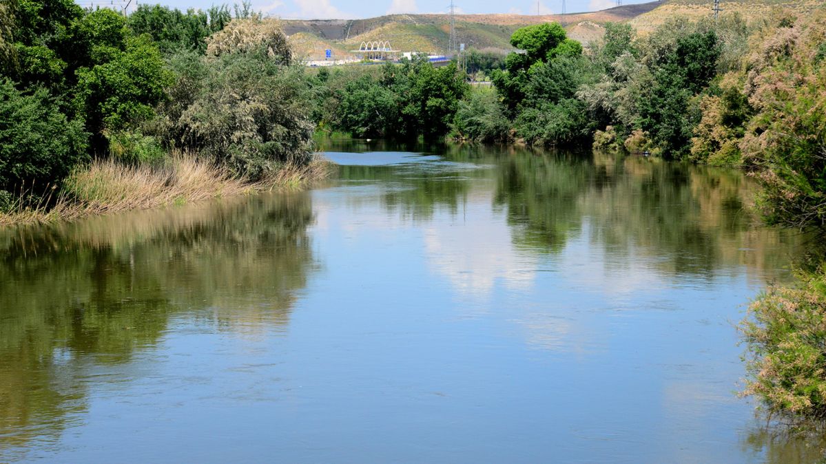 Desembocadura Jarama Tajo 4