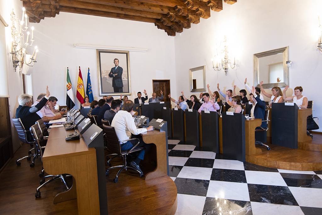 Foto Pleno dipu cc 25 de julio 2019