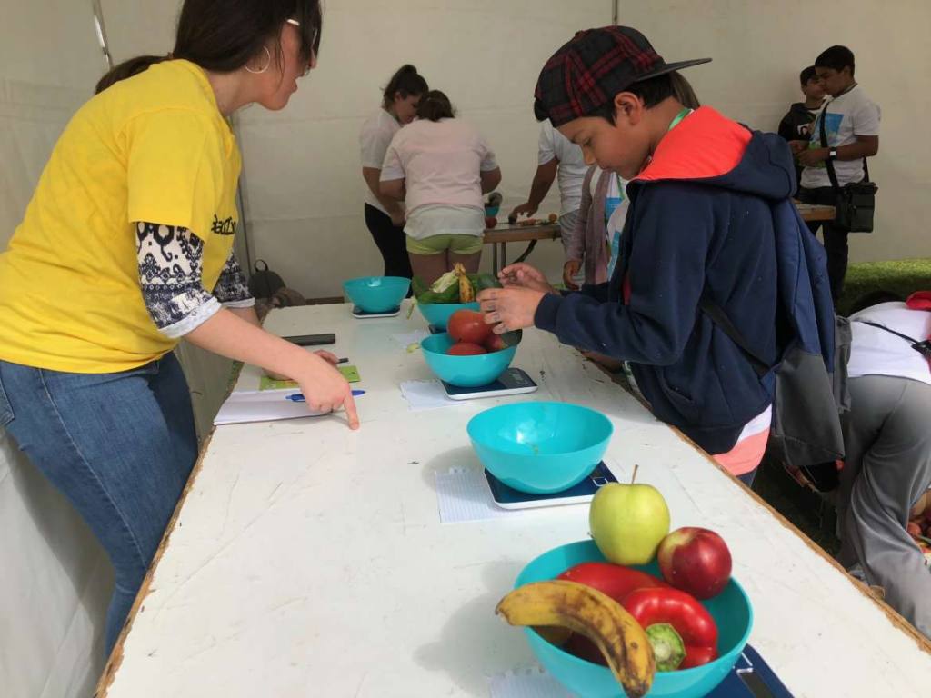 escolars consumo fruta