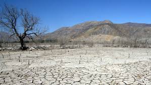 emergencia climatica