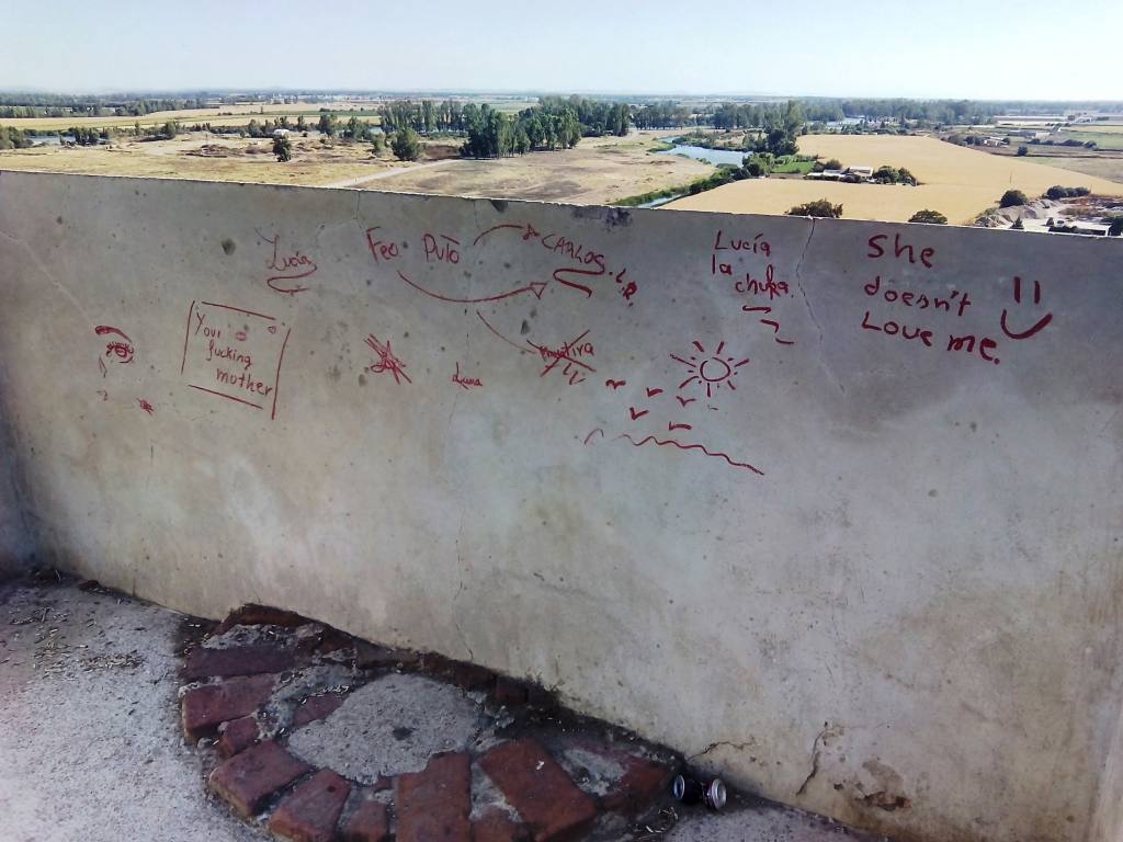 pintada alcazaba