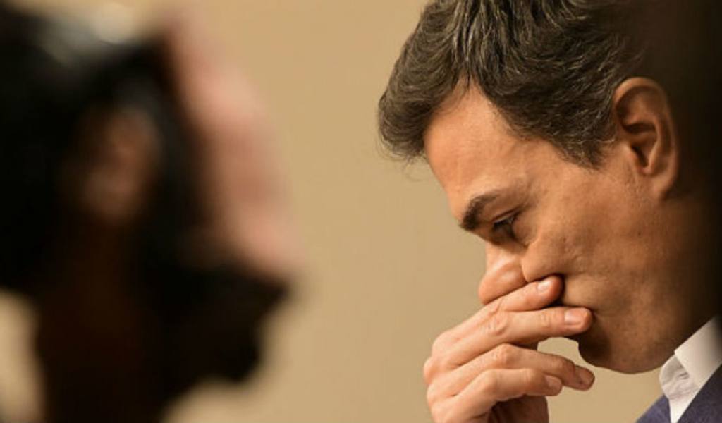 pedro sanchez 1
