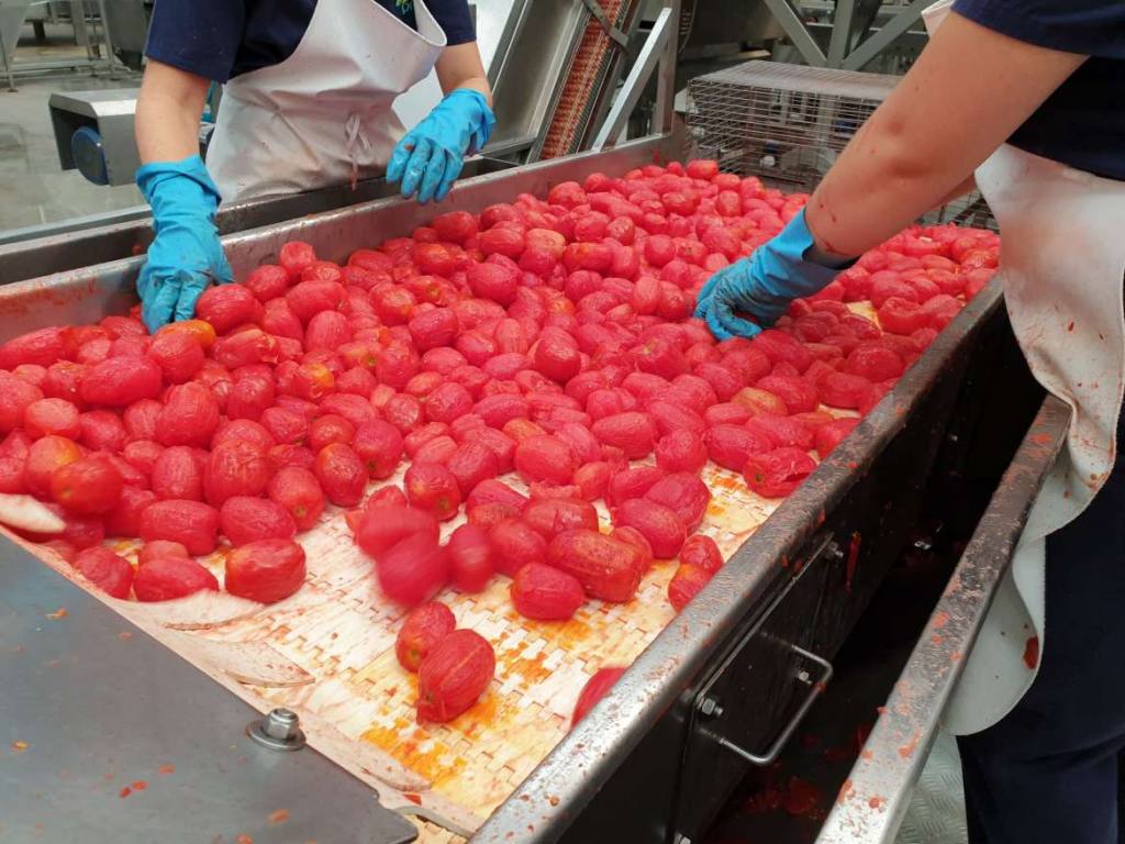 tomates