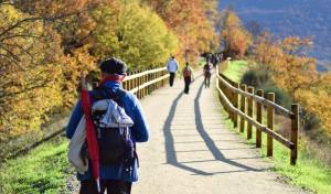 camino plata