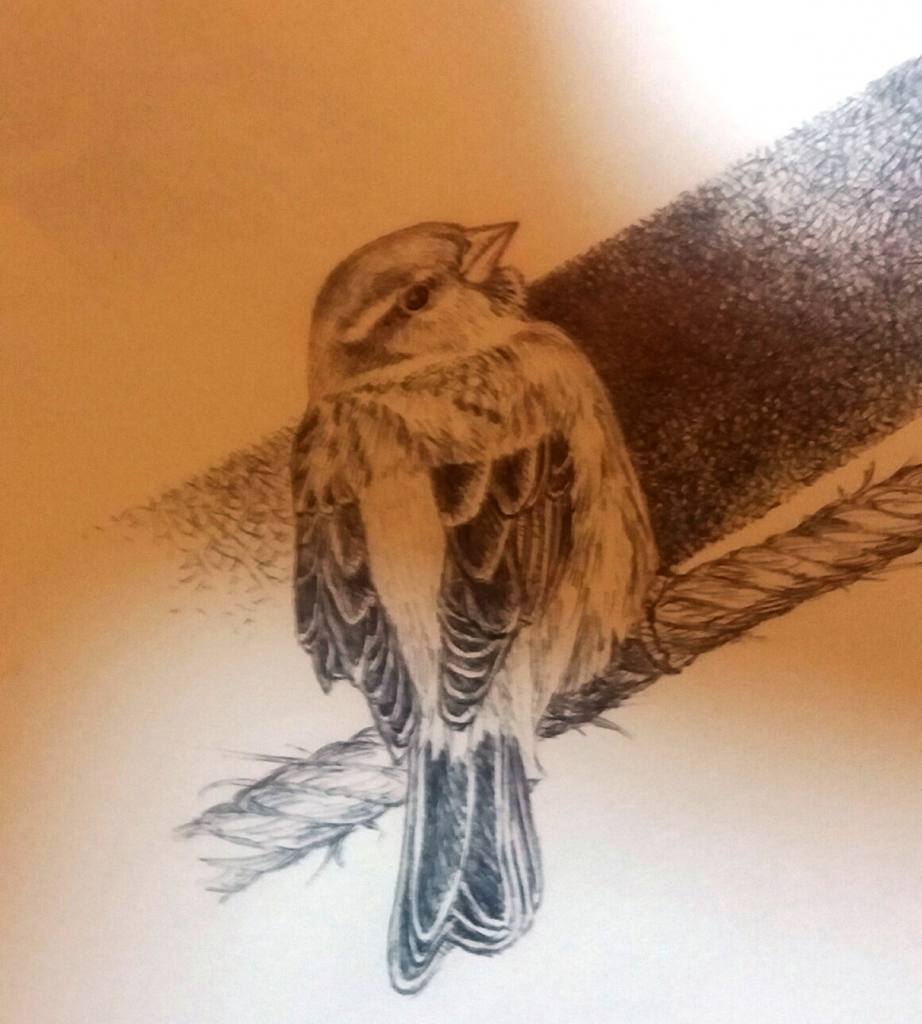 Ilustracion Jose Manuel Onrubia