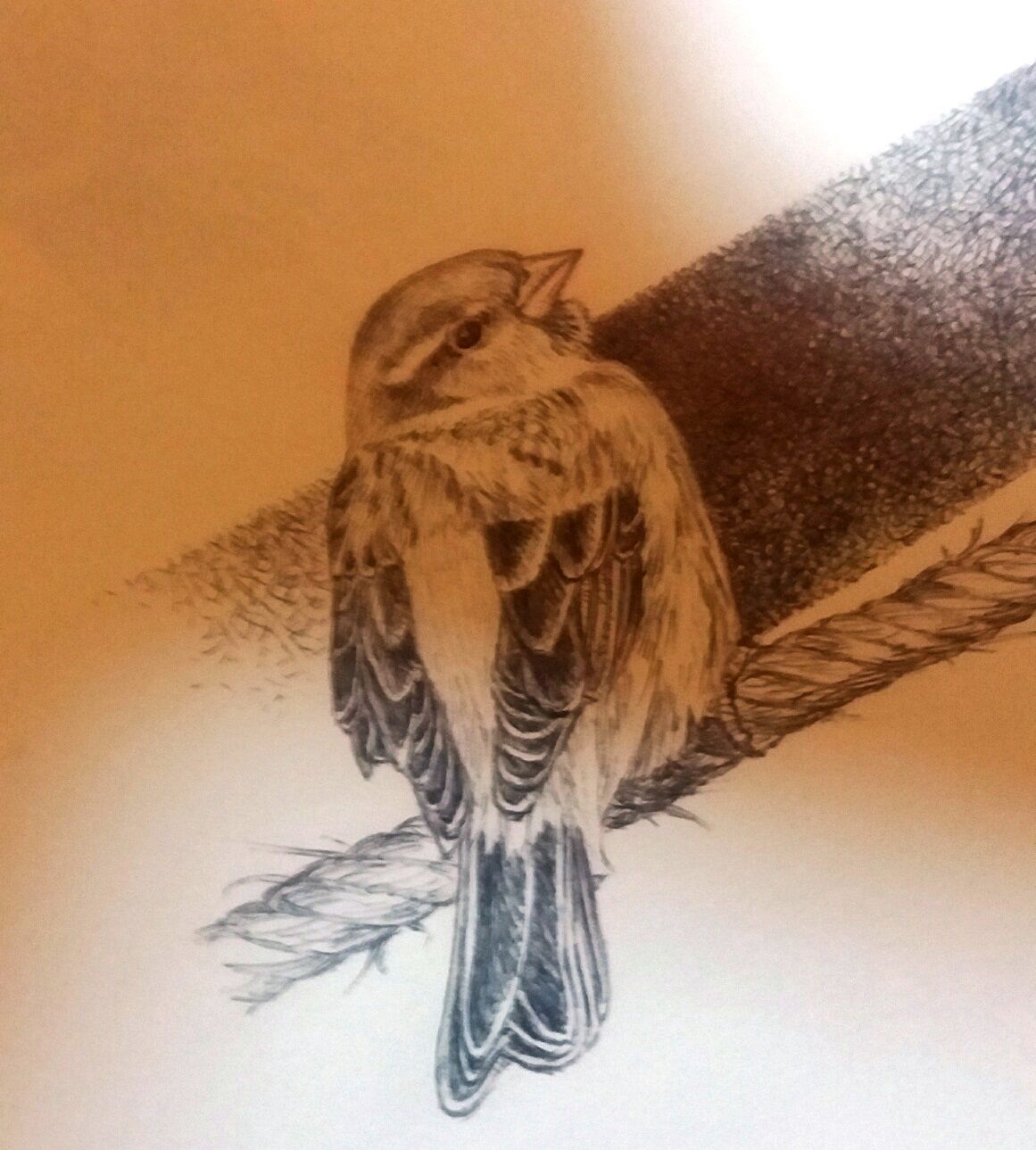 Ilustracion Jose Manuel Onrubia