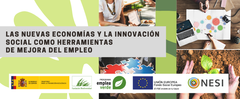 Programa formativo MEJORA NESI