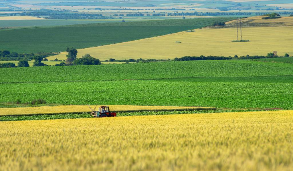 agricultura cambio climatico 1