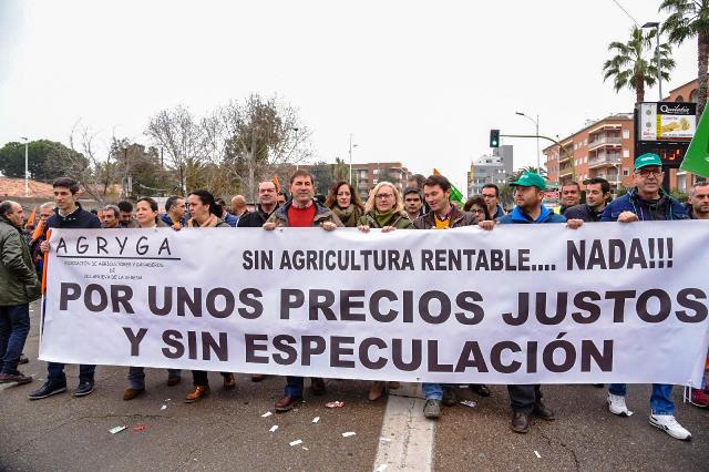 campo pp 2