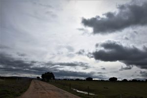 CHARO 1