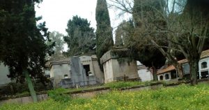 Cementerio 3 1