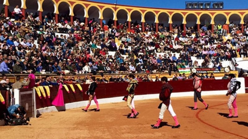 toro olivenza