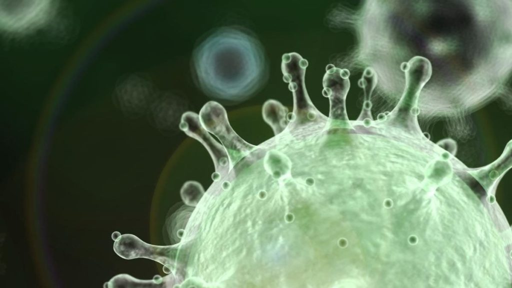 coronavirus 5