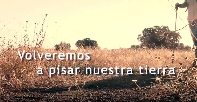 DIP BA CAMPAÑA VIDEOS DIA PROVINCIA