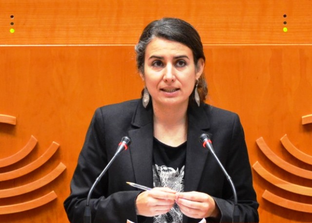 irene de miguel unidas podemos