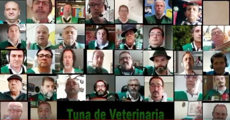 tunos veterinaria coronavirus