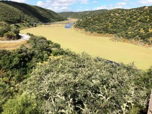 Río Tajo monfragüe