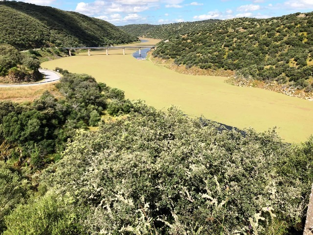 Río Tajo monfragüe