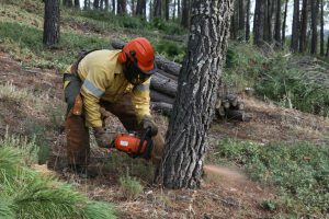 incendio