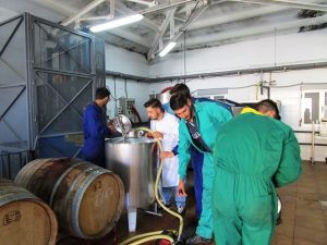 jovenes agricultores