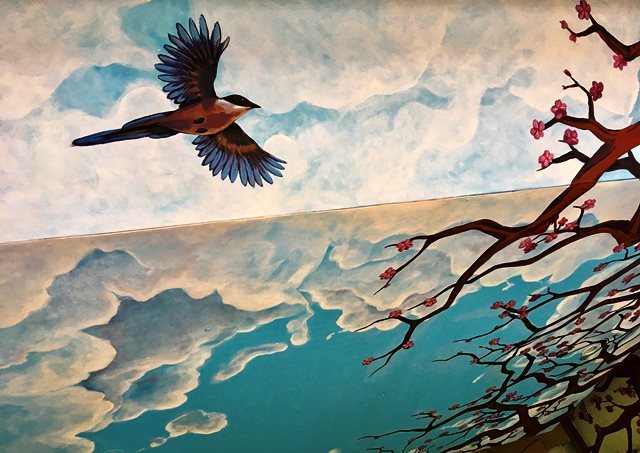 pajaro azul dibujo
