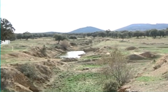 mina cañaveral