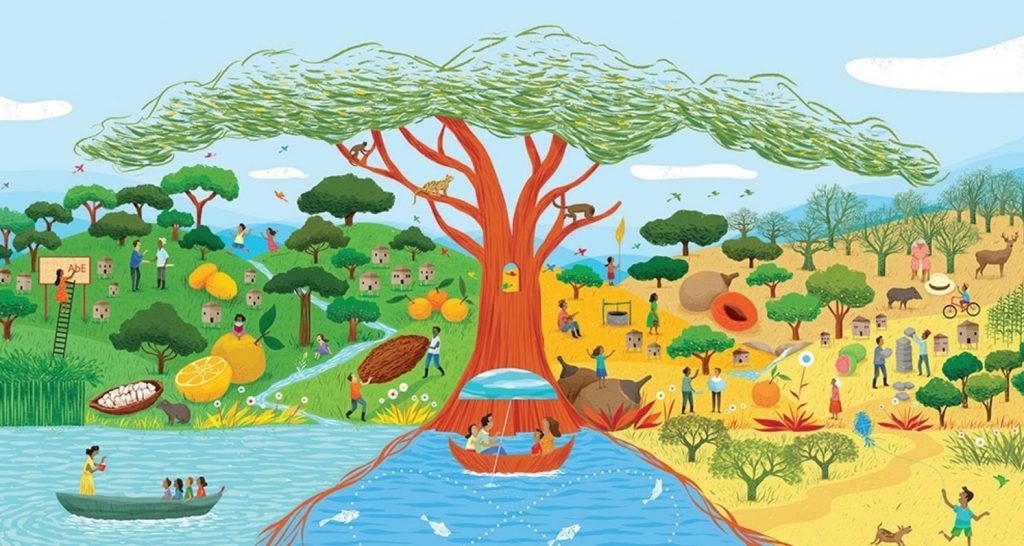 Estrategia de Biodiversidad y Plan de Adaptación al Cambio Climático para Extremadura original