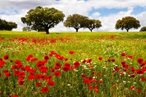 La primavera pasada ha sido muy húmeda y muy cálida en Extremadura primavera