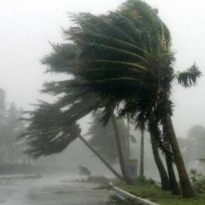 viento