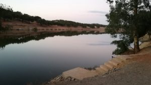 pantano oliva de la frontera