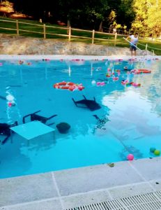 piscina parque del principe
