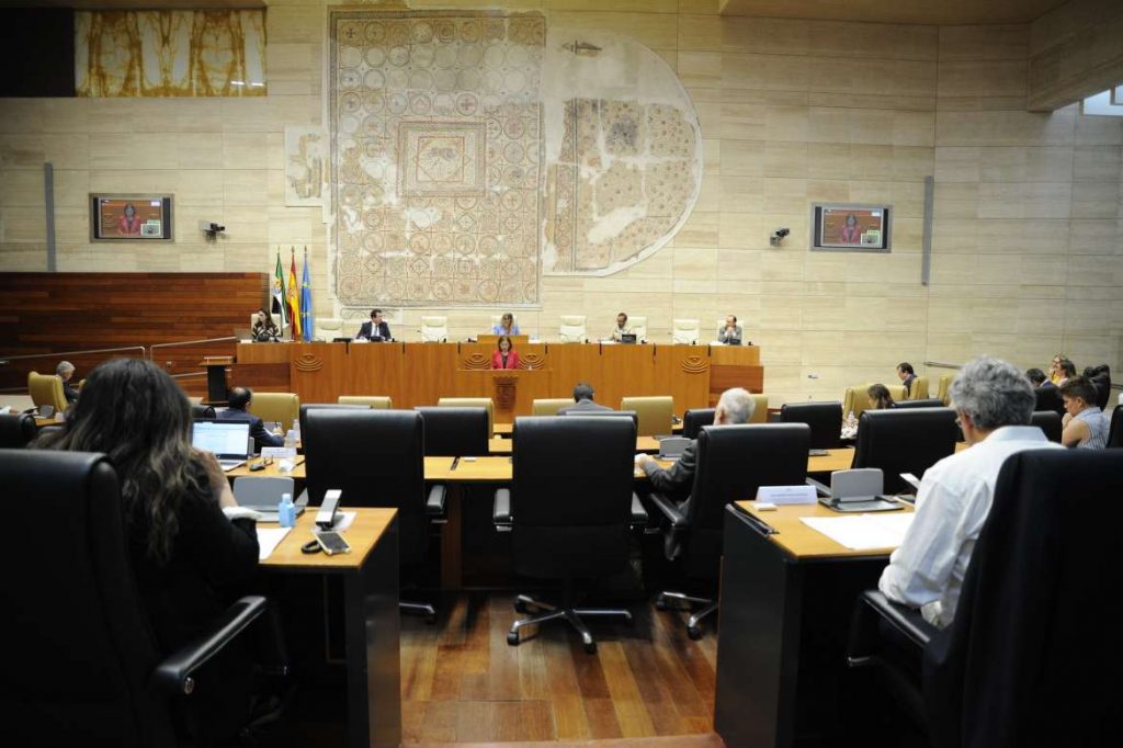 Impulso de la reactivación económica y minimiza el impacto social de la crisis sanitaria en Extremadura vicepresidenta primera en pleno de la asamblea 1