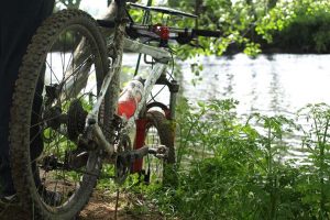 Bici Alqueva
