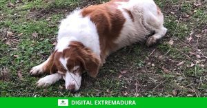 Cartas a Ari: EL ESTIAJE