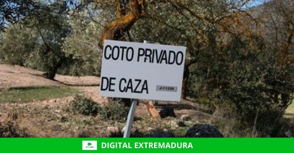 Fallece un cazador de 72 años en una montería en Herguijuela El Consejo Extremeño de Caza modifica la orden de veda de la tórtola y la equipara al resto de comunidades
