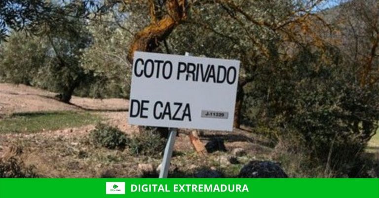 El Consejo Extremeño de Caza modifica la orden de veda de la tórtola y la equipara al resto de comunidades